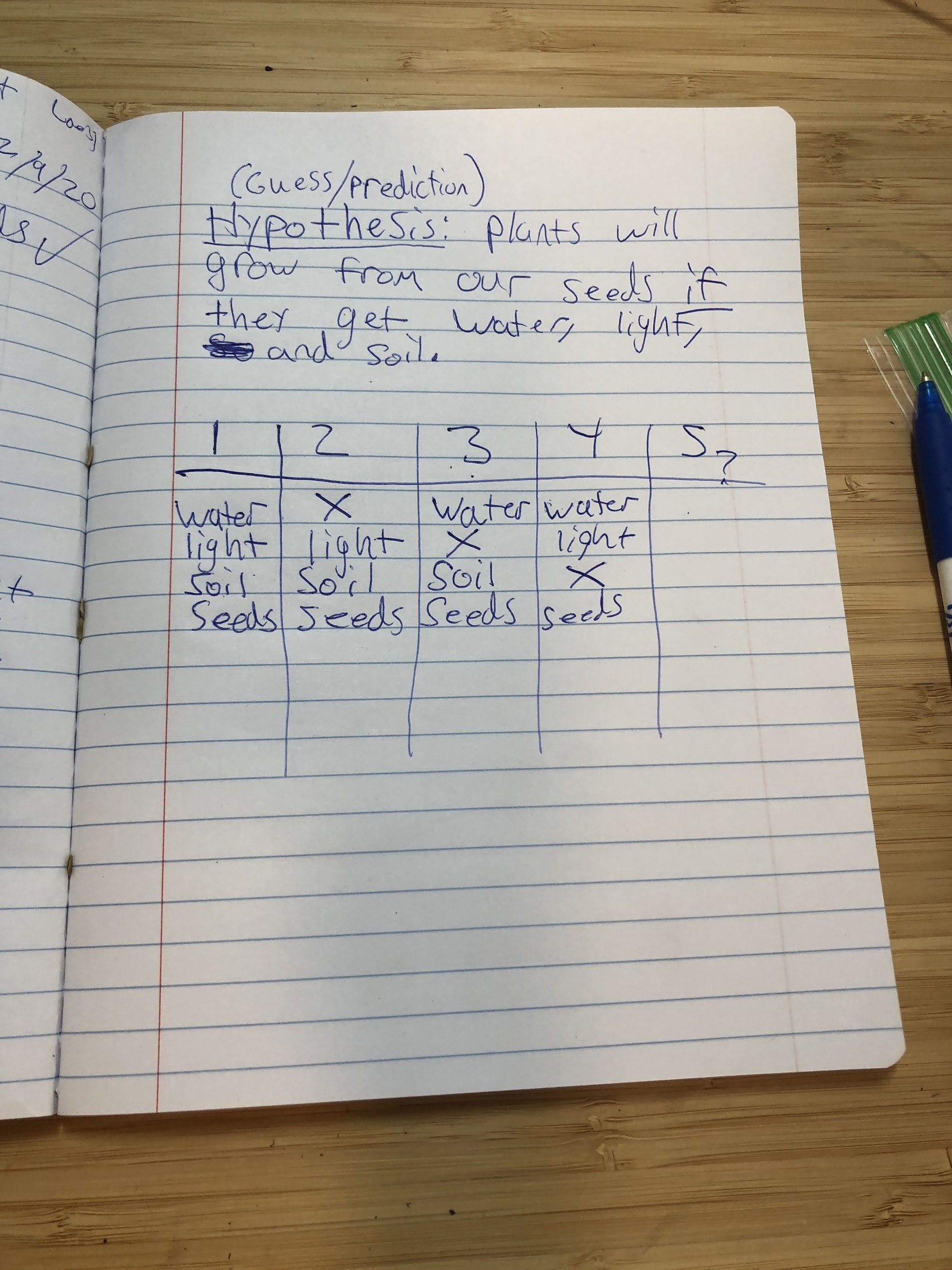 plant stem science experiment