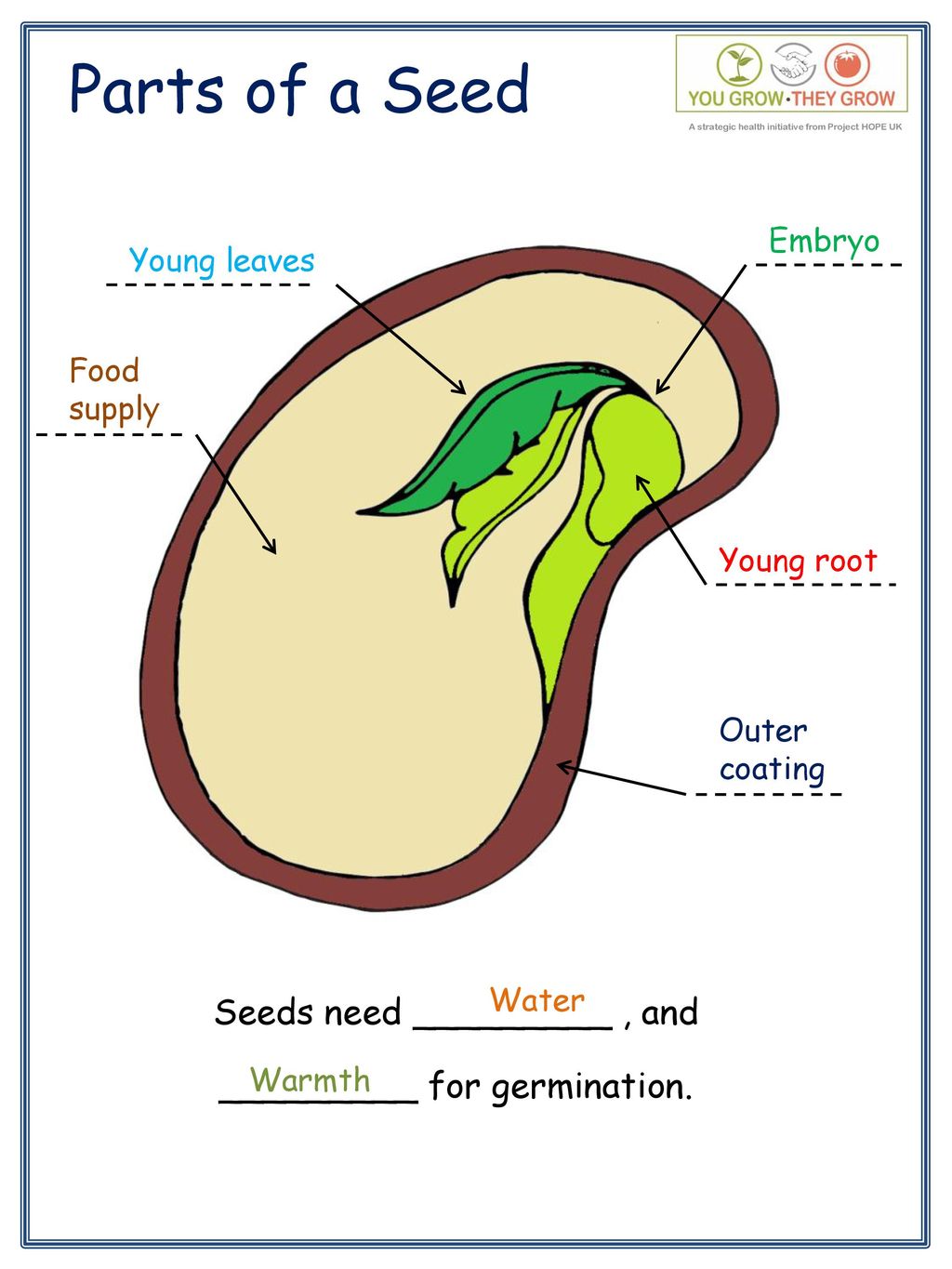 Parts Of The Seed Diagram